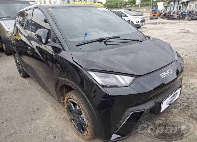 BYD DOLPHIN MINI EV GS 55 kW 2025